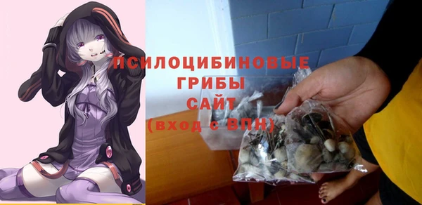 прущие крисы Бородино