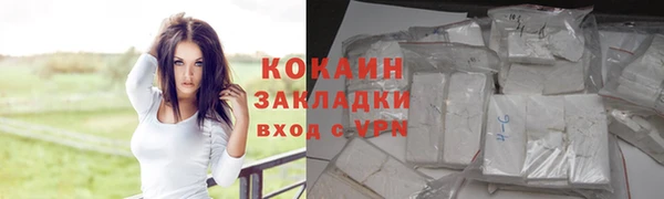 прущие крисы Бородино