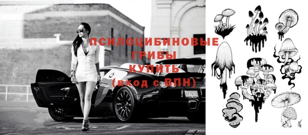 прущие крисы Бородино